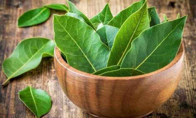 Bay leaf for preparing a decoction that relieves knee swelling in arthrosis