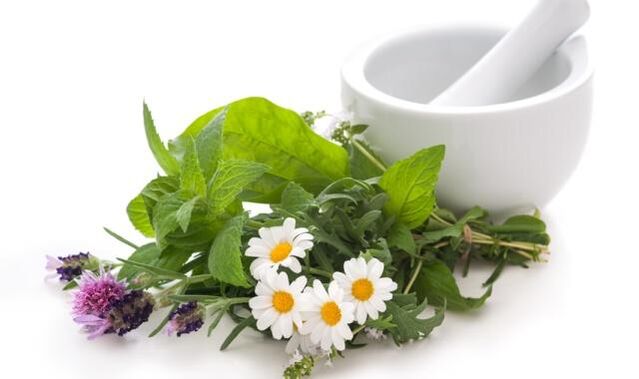 Medicinal herbs - the basis of means for external action on the knee joint affected by arthrosis